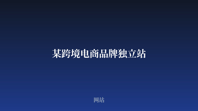 某跨境电商品牌独立站